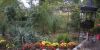 фото Двухкомнатный дом в Никитском ботаническом саду на apartments-crimea.ru
